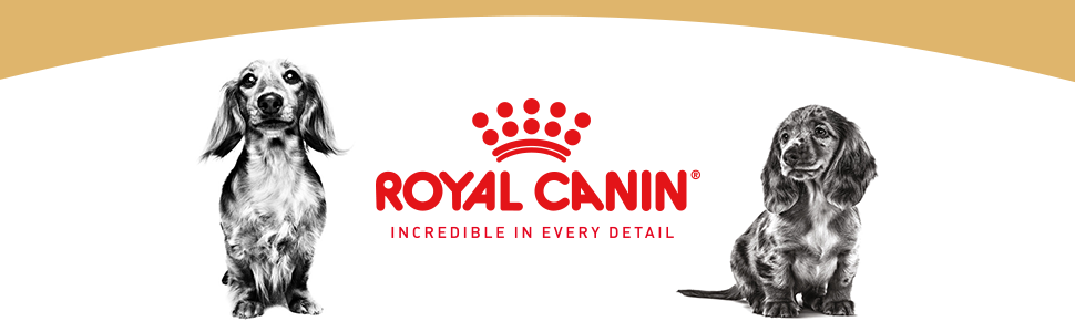 Royal Canin
