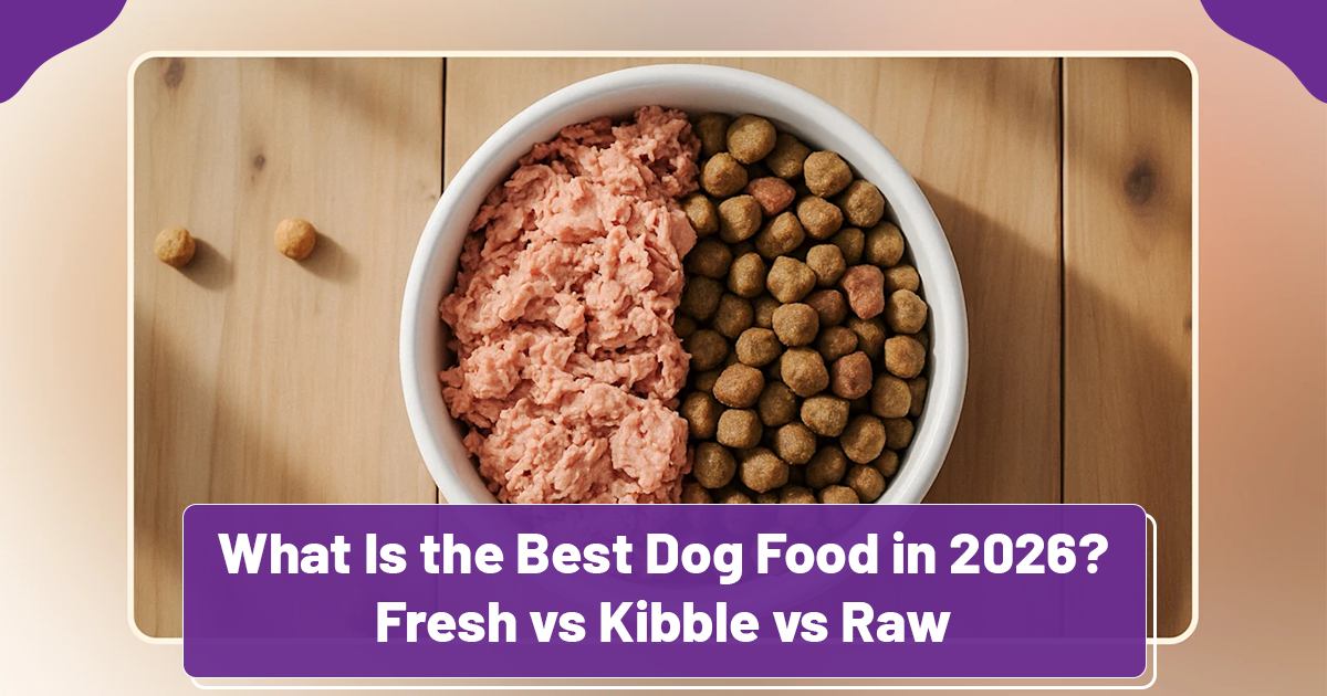 What Is the Best Dog Food in 2026? Fresh vs Kibble vs Raw