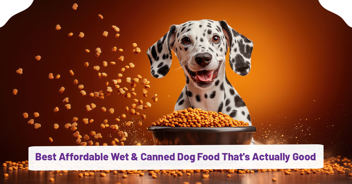 Best Affordable Wet & Canned Dog Food That's Actually Good