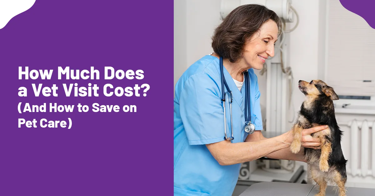 How Much Do Vet Visits Cost in 2026? Full Price Breakdown for Dog & Cat Owners