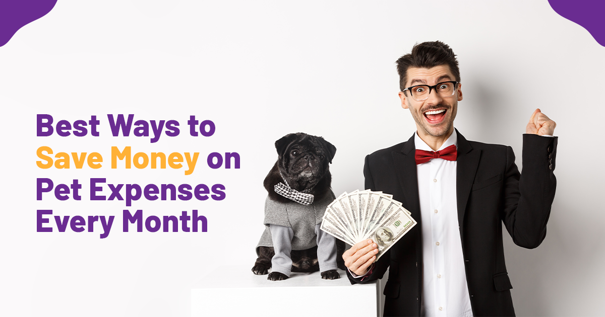 Best Ways to Save Money on Pet Expenses Every Month
